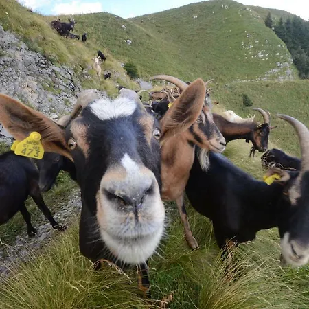 Apartma Fani-kobarid 아파트